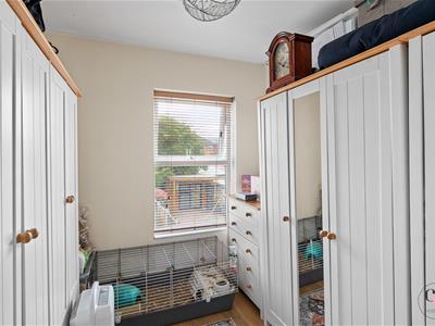 Picture 17